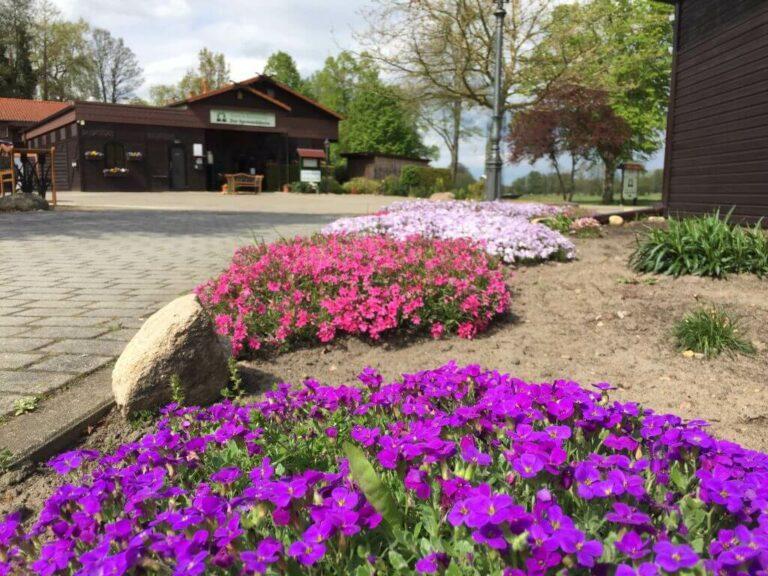 GartenBlickRezeption